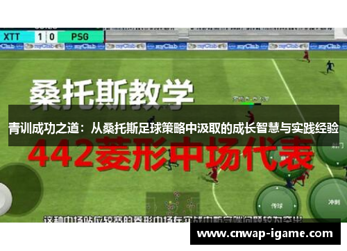 青训成功之道：从桑托斯足球策略中汲取的成长智慧与实践经验