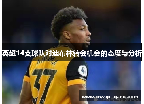 英超14支球队对迪布林转会机会的态度与分析